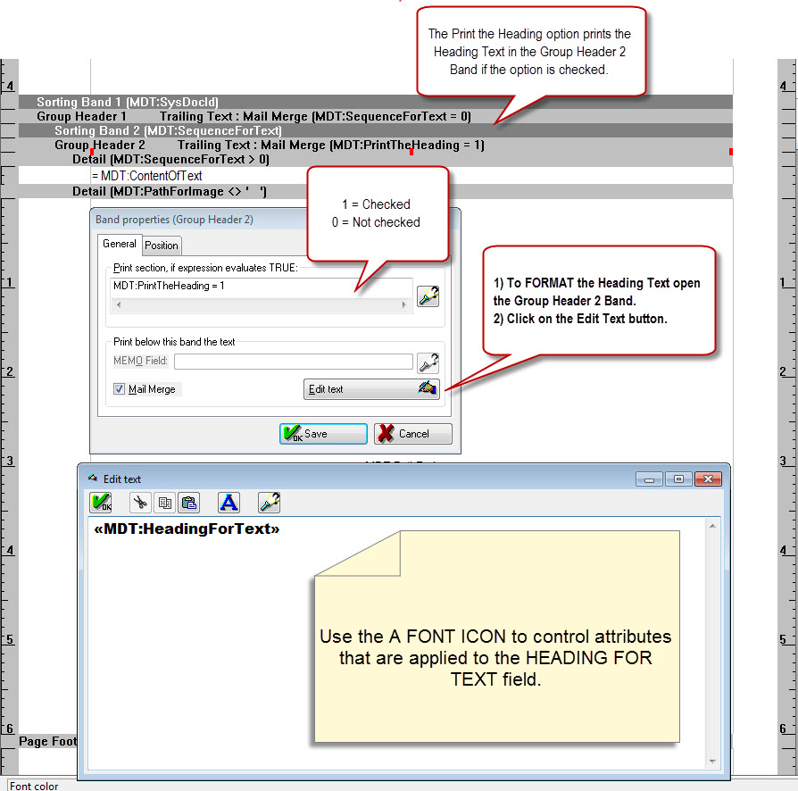 ReportBuilderOption01